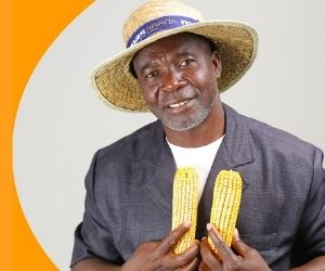 promotion corn seed farmer africa